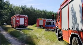 Poważny wypadek podczas wycinki drzew. Wezwano śmigł&hellip;