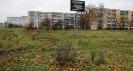 Georadar poszuka śladów Żydów. Ruszają prace na kirkucie