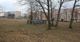Uporządkują kwestię cmentarza żydowskiego w Ciechanowie? Najpierw muszą ustalić właściciela działki