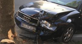 Pijany mieszkaniec Ciechanowa za kierownicą Audi. Uderzył w drzewo na ul. Sienkiewicza [zdjęcia]