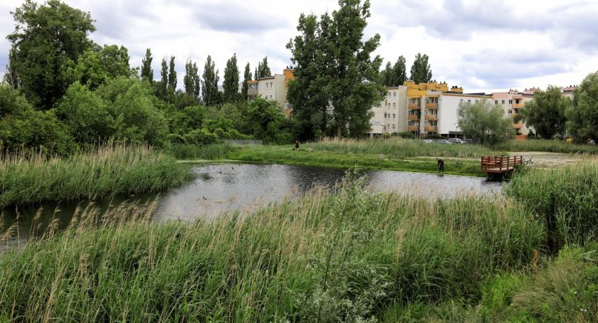 Komary i meszki atakują mieszkańców Torunia. Kiedy miasto ruszy z opryskami?