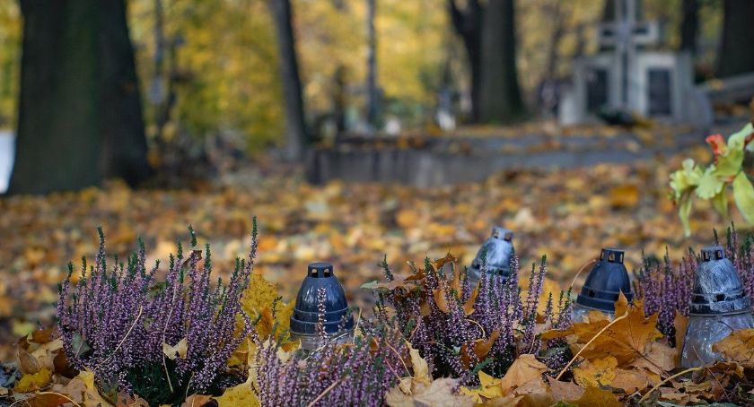 Brutalne zabójstwo na toruńskim cmentarzu. Morderca zabił i wyjechał za granicę