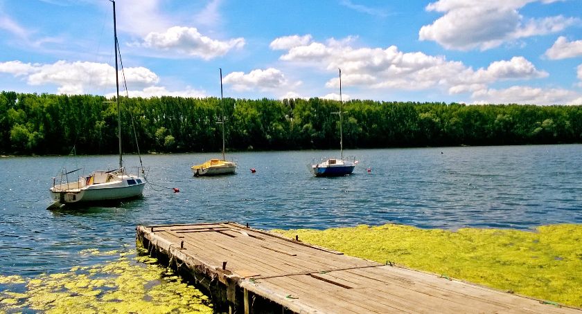 Port Drzewny zostanie przywrócony dla mieszkańców Torunia za ponad 2 mln zł?!