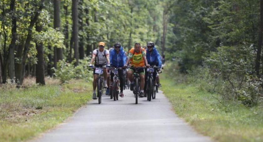 Nowa ścieżka rowerowa za 9 mln zł połączy Toruń z Cierpicami