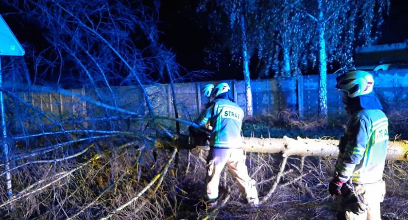 Pogoda mocno dała nam się we znaki. Trwa usuwanie skutków wichury [FOTO]