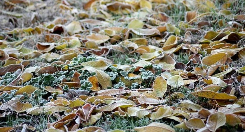 Nadchodzi ochłodzenie. Jaka temperatura dla Torunia?
