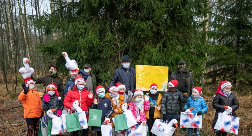 Marszałek wybrał świąteczną choinkę. Pomogły mu dzieci 