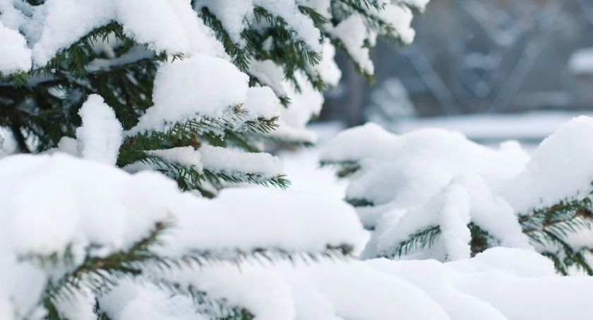 W Toruniu zrobi się biało. Kiedy ponownie spadnie śnieg?