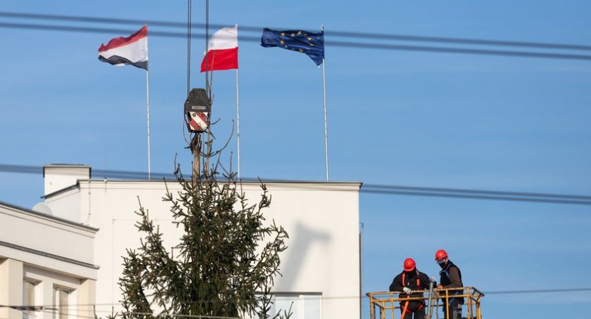 W centrum Torunia stanęło piękne dwudziestometrowe drzewko bożonarodzeniowe