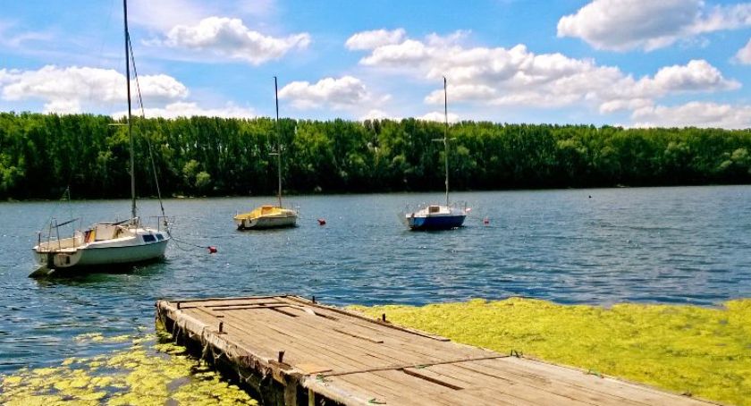 Port drzewny w Toruniu - port niewykorzystanych możliwości