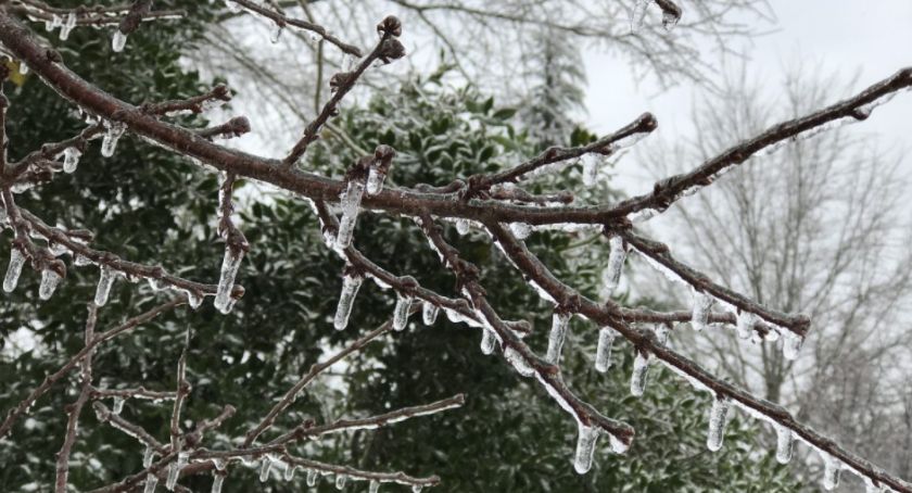 Pogodowy alert dla Torunia. Przez noc może być niebezpiecznie