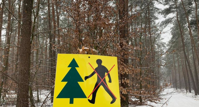 Uwaga! Zakaz wstępu do lasu w Toruniu