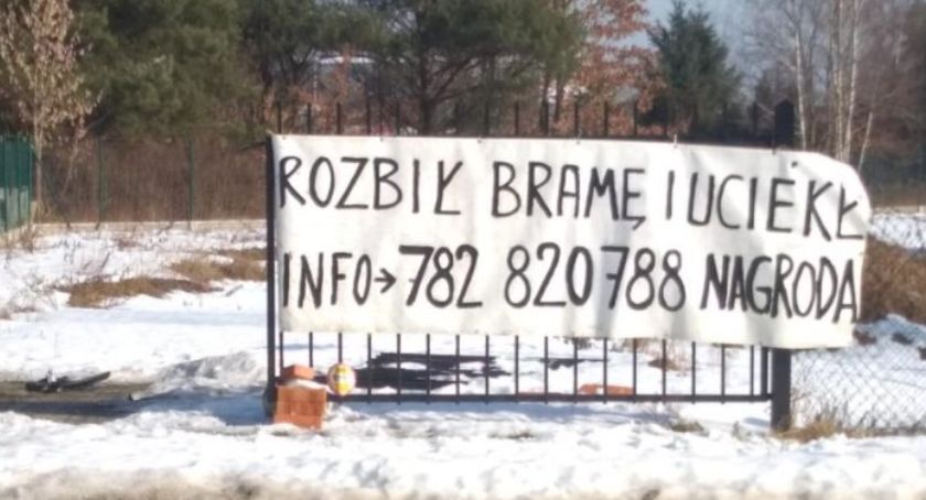 Nieznany sprawca narobił szkód i uciekł. Poszkodowany prosi o pomoc