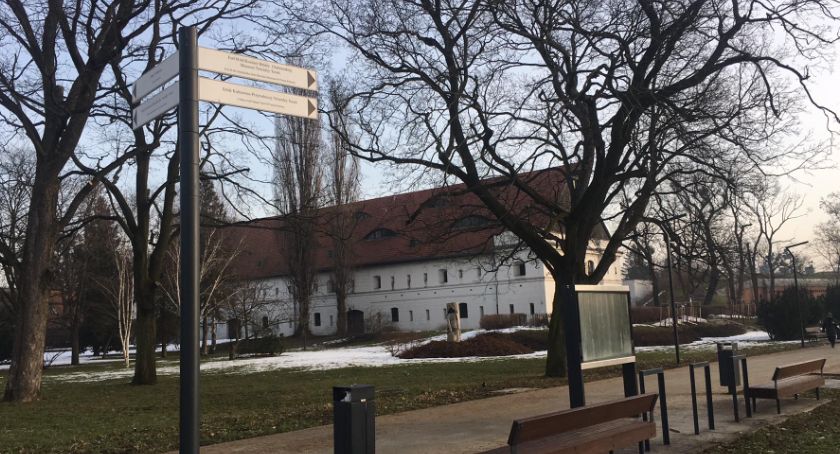 Atak wiosny. Pogoda zrobi nam niespodziankę w Toruniu