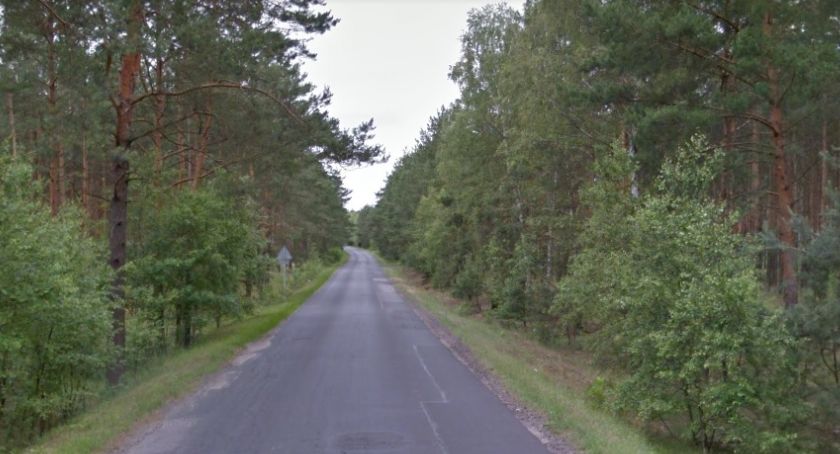 Drzewa w lesie pod Toruniem do wycinki. „Stwarzają zagrożenie”