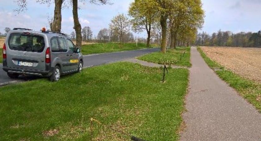 Wandale zniszczyli drzewka przy drodze. „Człowieku, zastanów się po co to robisz!” 
