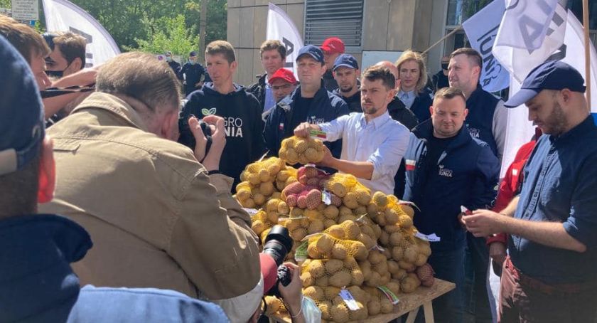 Nietypowy pomysł na protest. W Toruniu rolnicy będą rozdawać ziemniaki 