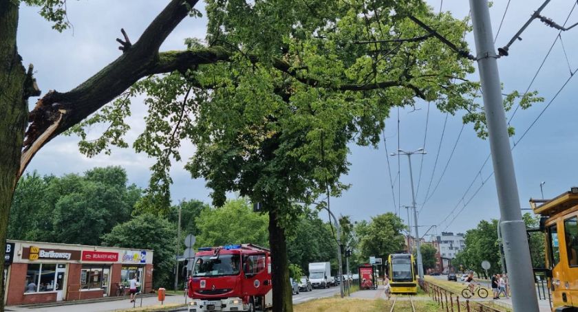 Jaka pogoda po burzowym wtorku? Synoptycy zapowiadają zmiany
