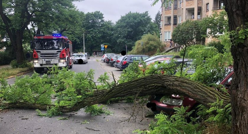 Uwaga! IMGW wydał pomarańczowy alert dla Torunia