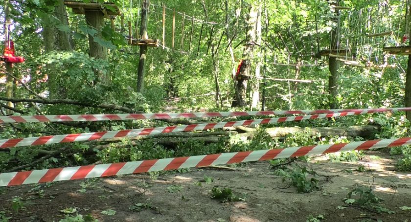 Park Linowy w Toruniu zamknięty. Połamane drzewa zniszczyły trasy