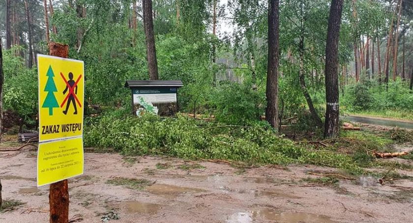 Nowe Zarządzenie Nadleśnictwa. Zakaz wstępu do lasu przedłużony