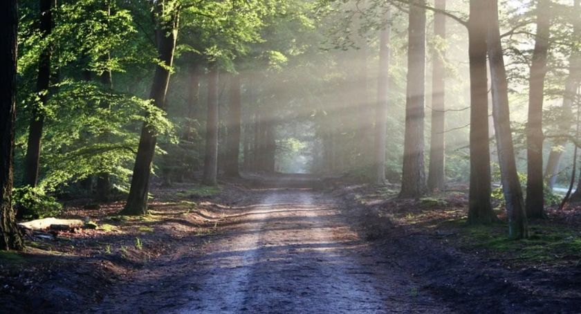 Wybieracie się na grzyby? Wojsko ostrzega mieszkańców