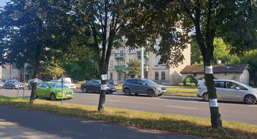 Oklejone drzewa wzdłuż Kościuszki. Niecodzienne wyznanie miłości