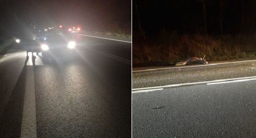 Wypadek w Czerniewicach. Auto całkowicie zmiażdżone