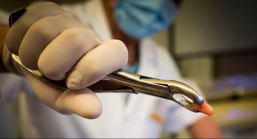 Znany dentysta kupił działkę w Toruniu za ponad milion zł