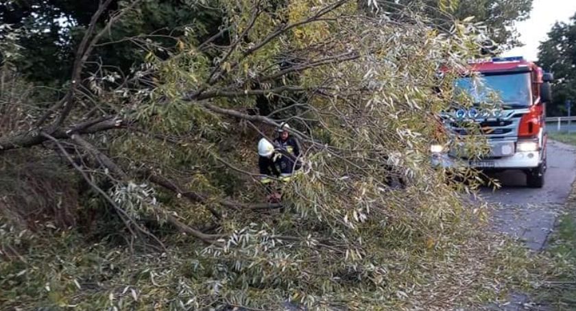 Niespokojna pogoda w Toruniu. Wichura narobiła szkód 