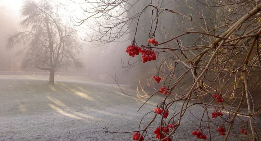Ubierzcie się ciepło. Temperatura w Toruniu spadnie poniżej zera 