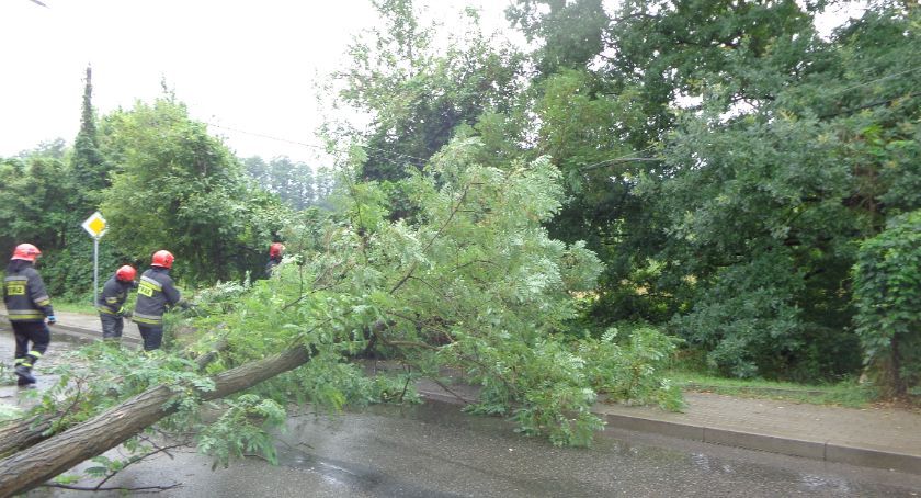 Wiatr przybiera na sile w Toruniu. Wyjątkowo niespokojne popołudnie