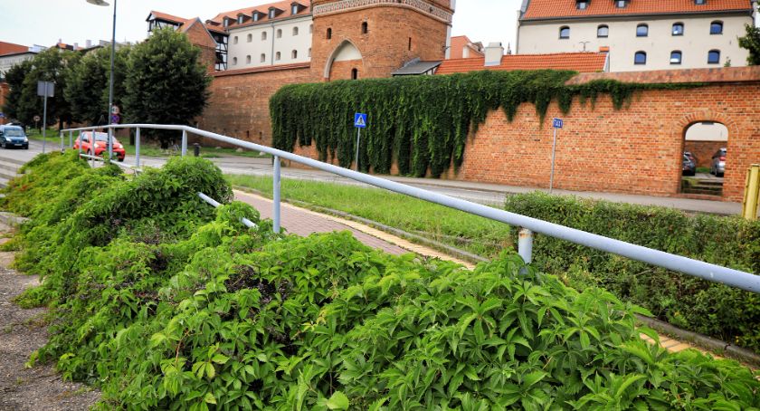 Miliony od rządu. Toruń bierze się za Bulwar Filadelfijski