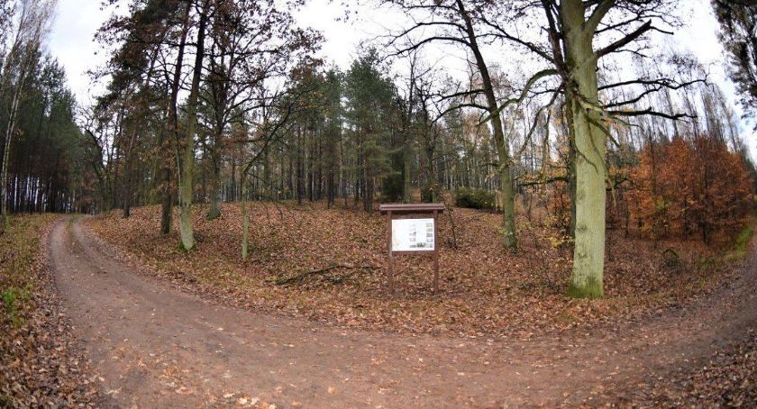 Pod Toruniem pojawiła się nowa atrakcja turystyczna