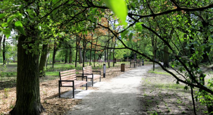 Czy park w Toruniu zostanie zlikwidowany? Prezydent zabrał głos