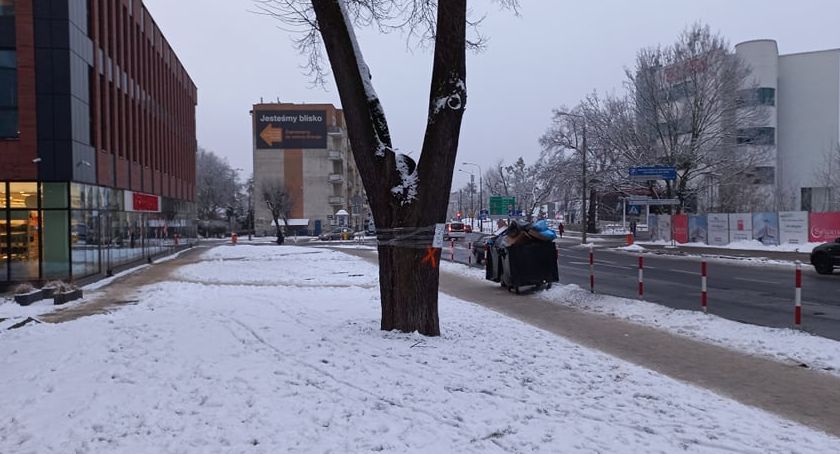 Karteczki przyklejone do drzew. Ostry sprzeciw mieszkańców Torunia