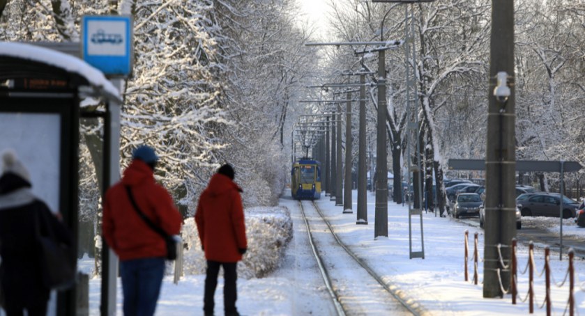Mróz i śnieg. Do Torunia nadciąga kolejna fala... zimy