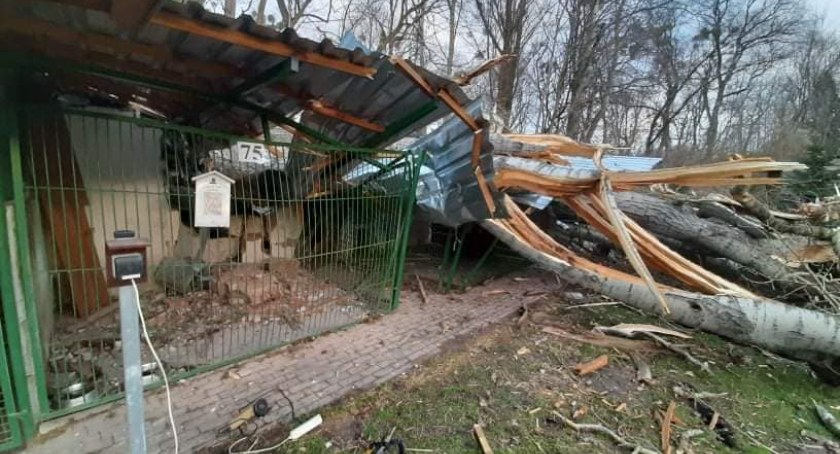 Wichura sieje spustoszenie w Toruniu. Ogromne zniszczenia w schronisku dla zwierząt