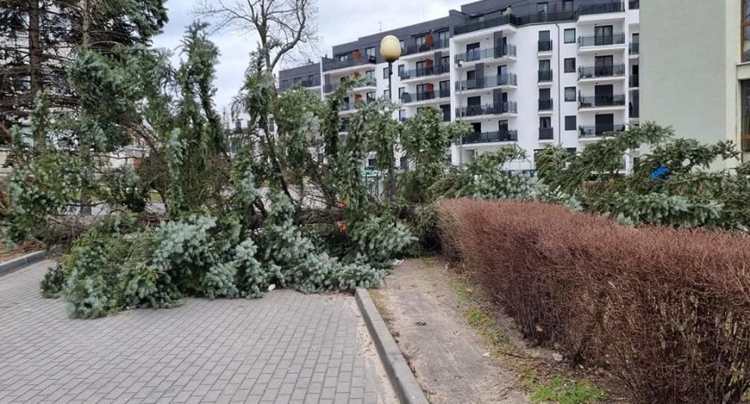 Ostrzeżenie IMGW dla Torunia. Nadchodzi głęboki niż Antonia