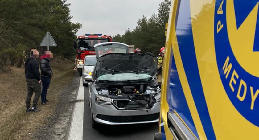 Groźny wypadek pod Toruniem. Kierowca nie spodziewał się takiego widoku