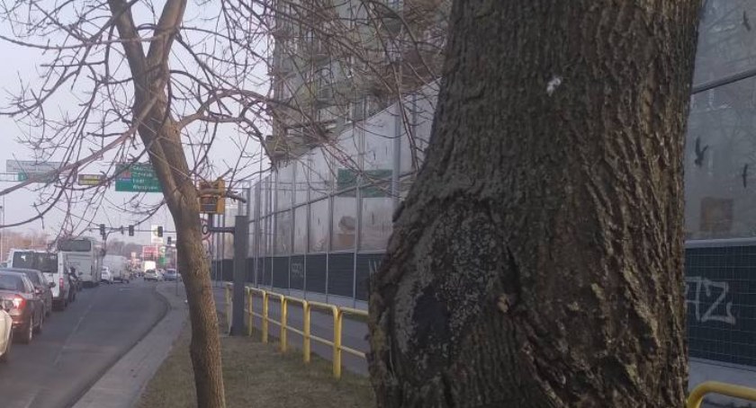 Nowy fotoradar w Toruniu. Czytelnicy: został sprytnie ukryty