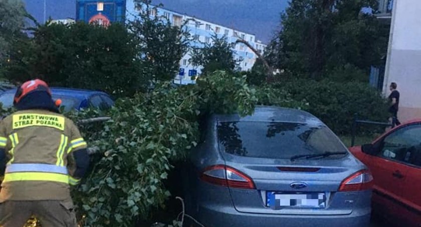 Niebezpieczna pogoda w Toruniu. Drzewo spadło na samochody