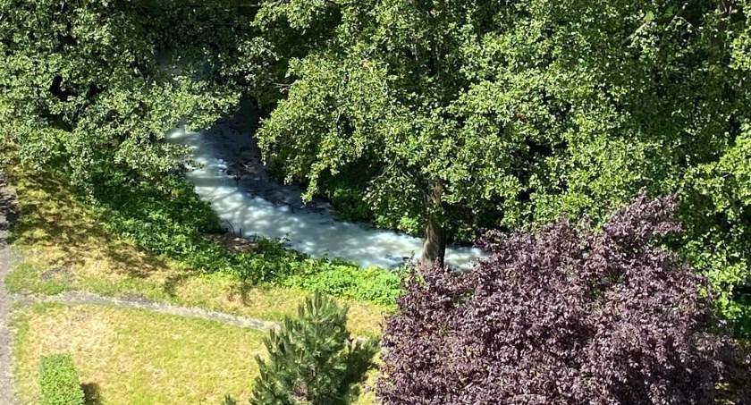 Rzeka płynąca przez Toruń zabarwiła się na biało