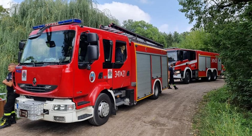 Śnięte ryby w Toruniu. Akcja strażaków w Parku Miejskim