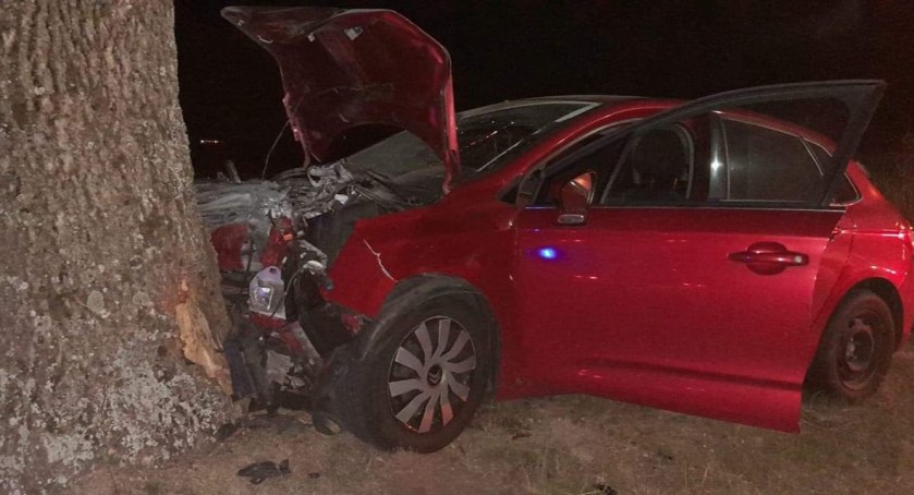 Wypadek pod Toruniem. Kierowca zakończył jazdę na drzewie