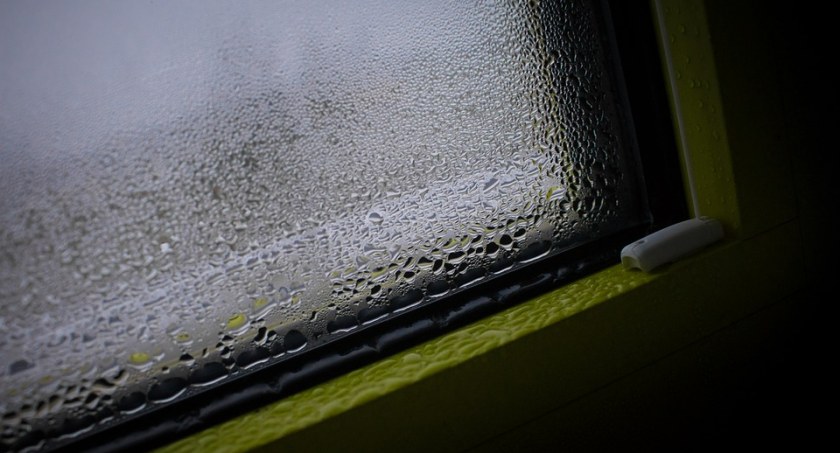 Parasole w Toruniu pójdą w ruch. Synoptycy zapowiadają jednak niespodziankę