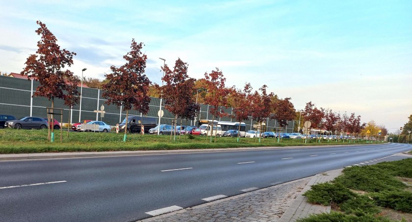 Ogromne korki w Toruniu. Urzędnicy wycofują się ze swojego pomysłu