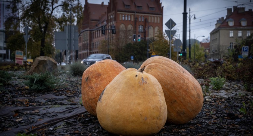 Nagły zwrot w pogodzie. Do Torunia nadchodzi uderzenie ciepła