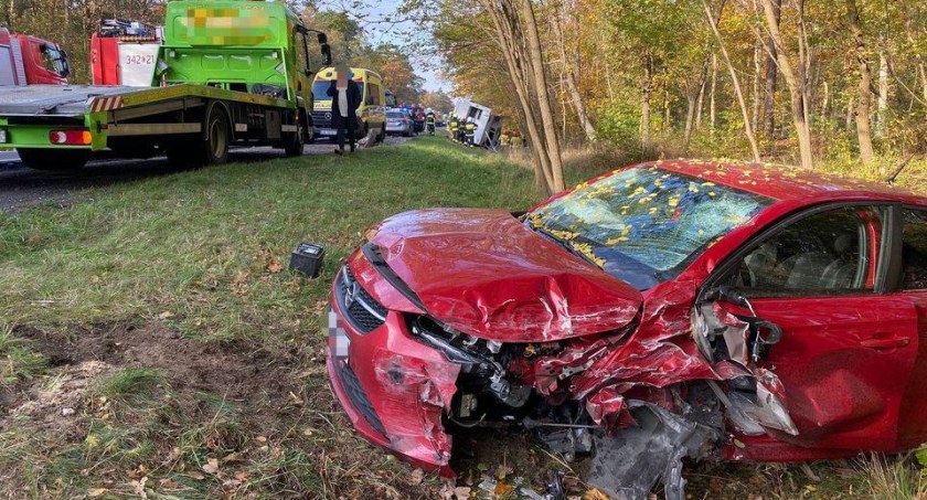 Wypadek pod Toruniem. Osobówka wjechała w pojazd przewożący konia