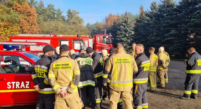 Poszła do lasu i zniknęła. Zmasowana akcja służb w Toruniu